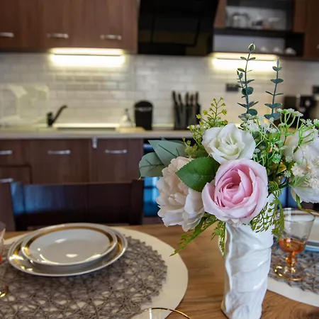 公寓 Alba 特里亚夫纳